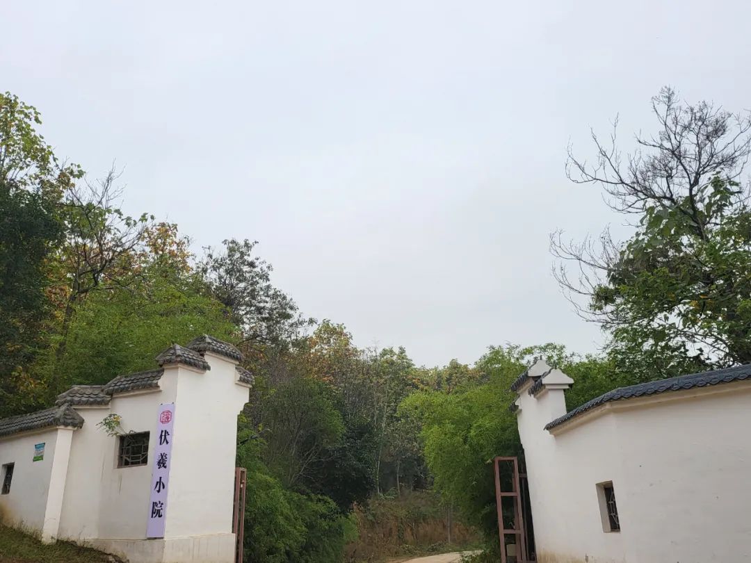 圣水寺旁，城市之外▏新零售為會(huì)員打造“桃花源”——伏羲小院